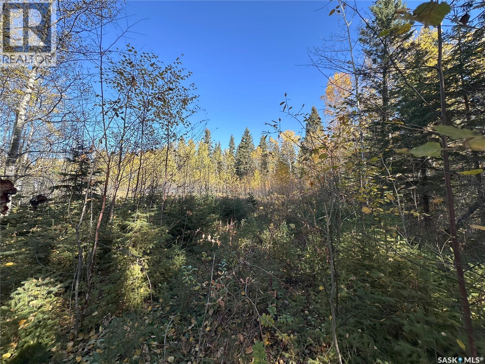 2 Buckingham Trail, Big River Rm No. 555, Saskatchewan  S0J 0E0 - Photo 4 - SK992480