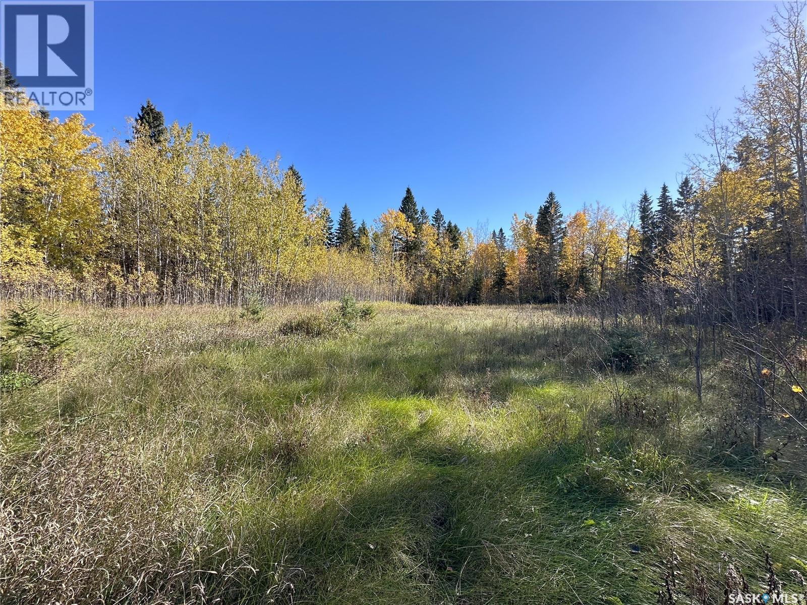2 Buckingham Trail, Big River Rm No. 555, Saskatchewan  S0J 0E0 - Photo 3 - SK992480