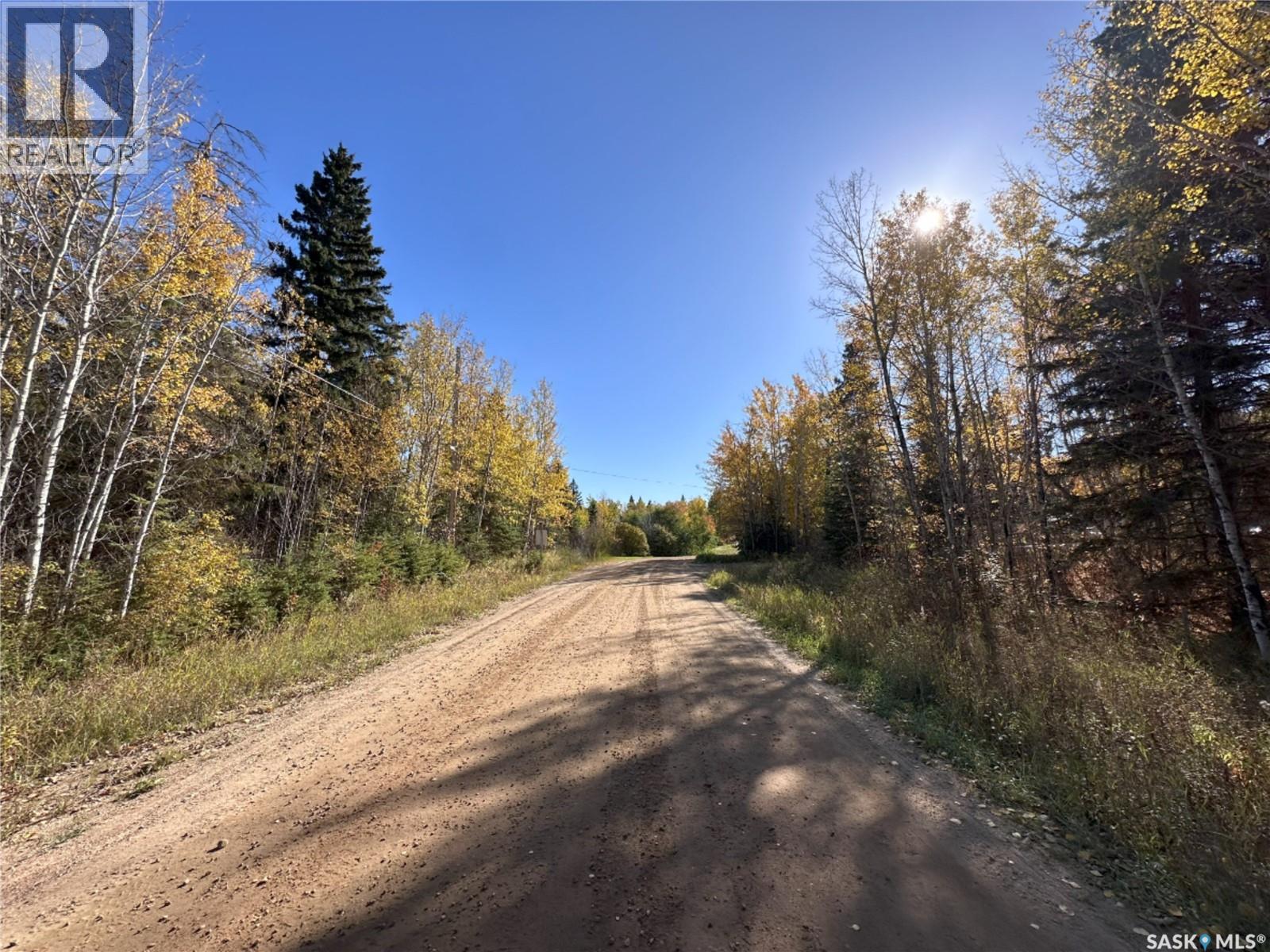 2 Buckingham Trail, Big River Rm No. 555, Saskatchewan  S0J 0E0 - Photo 10 - SK992480