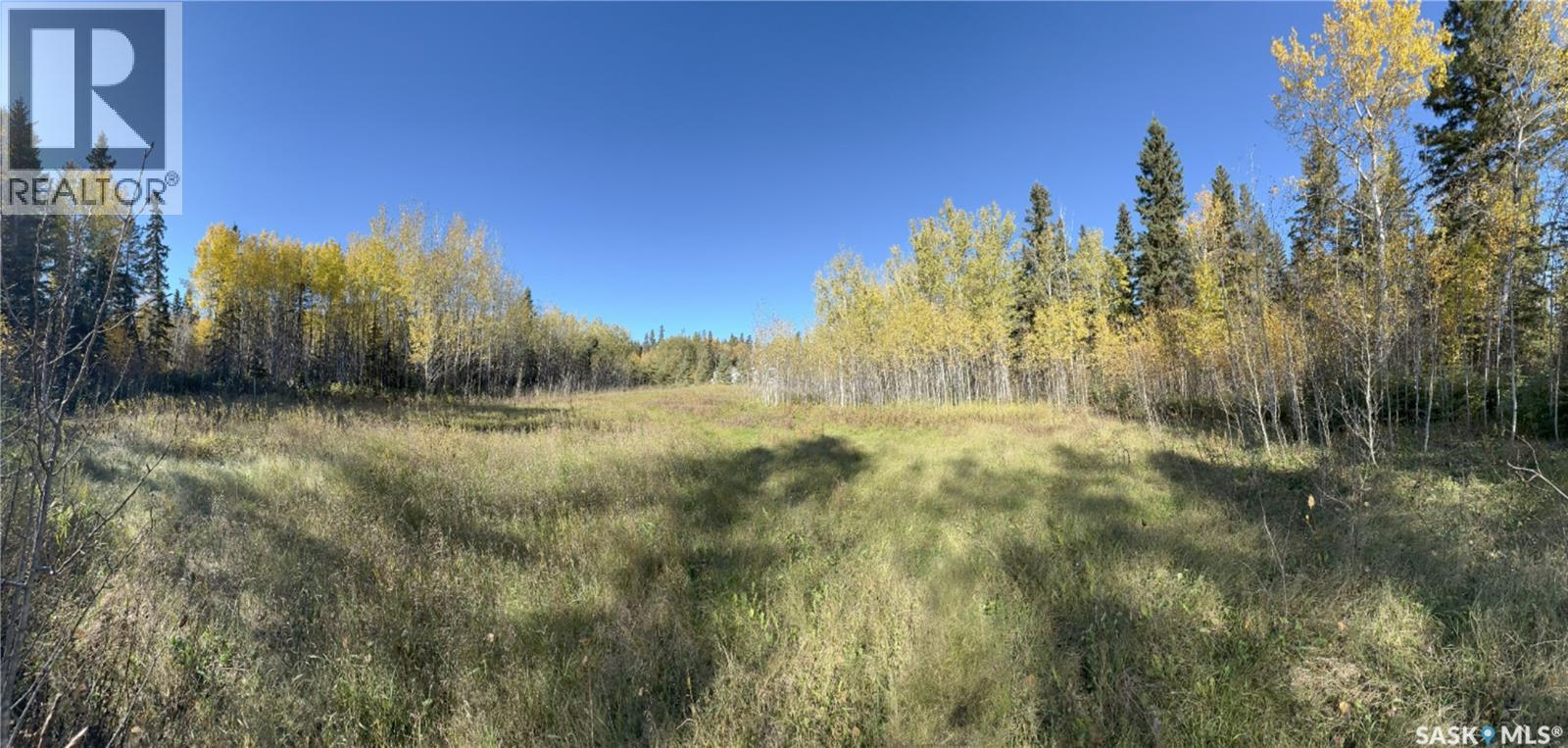2 Buckingham Trail, Big River Rm No. 555, Saskatchewan  S0J 0E0 - Photo 6 - SK992480