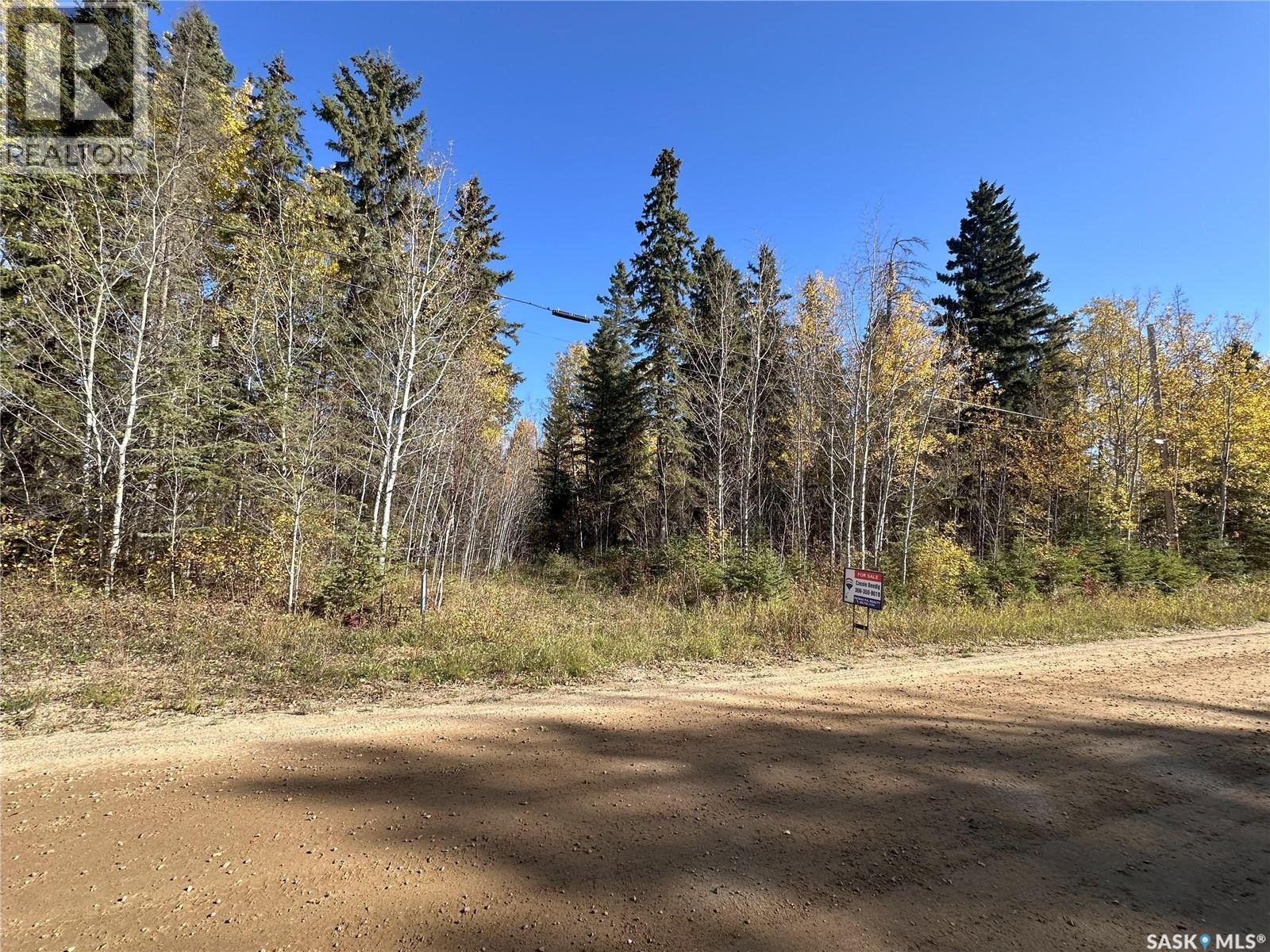 2 Buckingham Trail, Big River Rm No. 555, Saskatchewan  S0J 0E0 - Photo 9 - SK992480