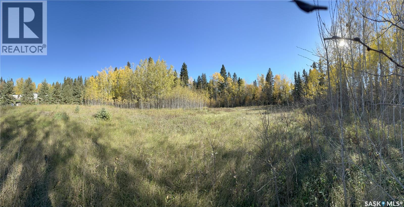 2 Buckingham Trail, Big River Rm No. 555, Saskatchewan  S0J 0E0 - Photo 7 - SK992480