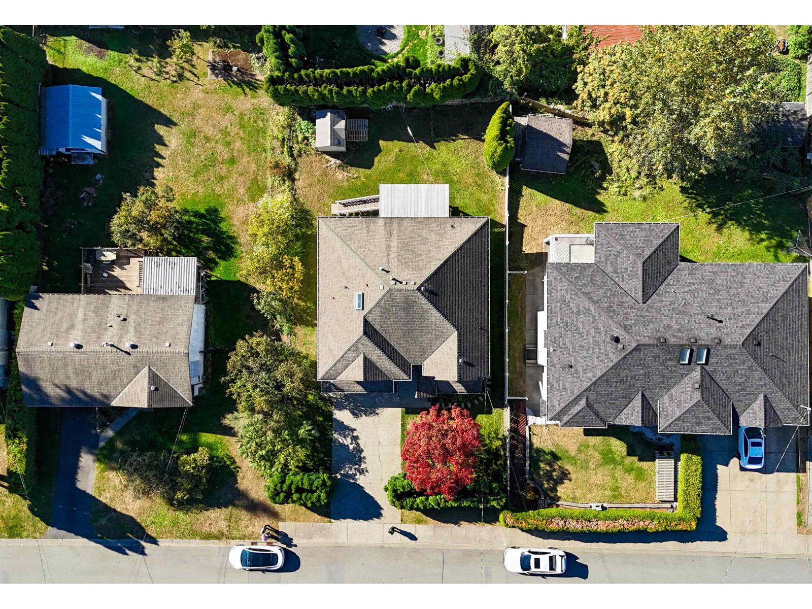 7469 Tern Street, Mission, British Columbia  V2V 5R8 - Photo 3 - R3057042