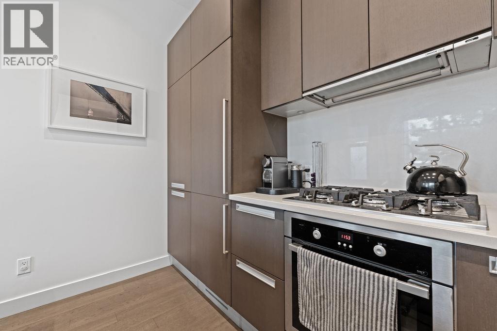 230 W 1 Avenue, Vancouver, British Columbia  V5Y 3T2 - Photo 10 - R3047603