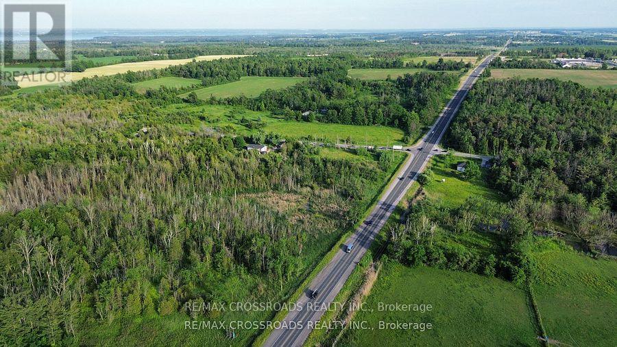 7118 Yonge Street, Innisfil, Ontario  L9S 4P3 - Photo 6 - N12413680