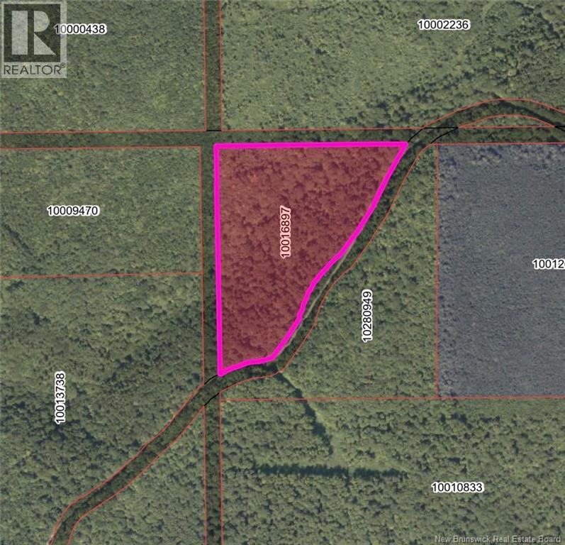 Land Skedaddale Ridge Road, South Knowlesville, New Brunswick  O0O 0O0 - Photo 1 - NB128209