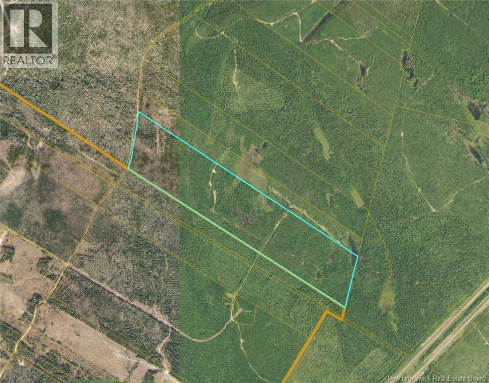 Land Mountain Road, New Market, New Brunswick  E6K 2T7 - Photo 1 - NB128201