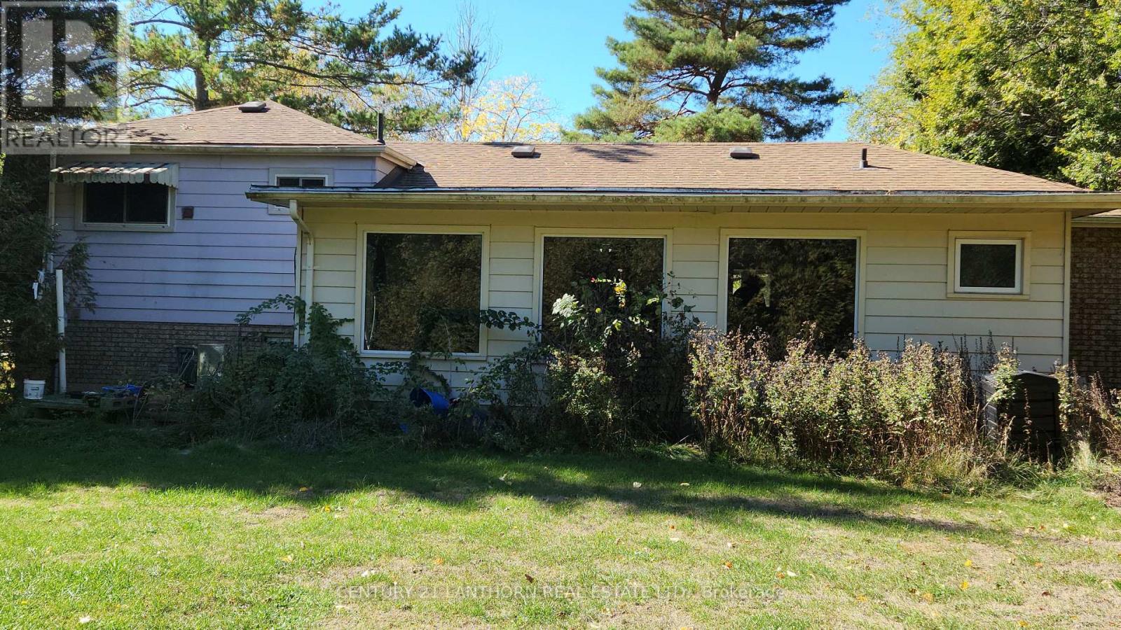 205 Elmwood Boulevard, Greater Napanee (Greater Napanee), Ontario  K0H 1G0 - Photo 4 - X12455884