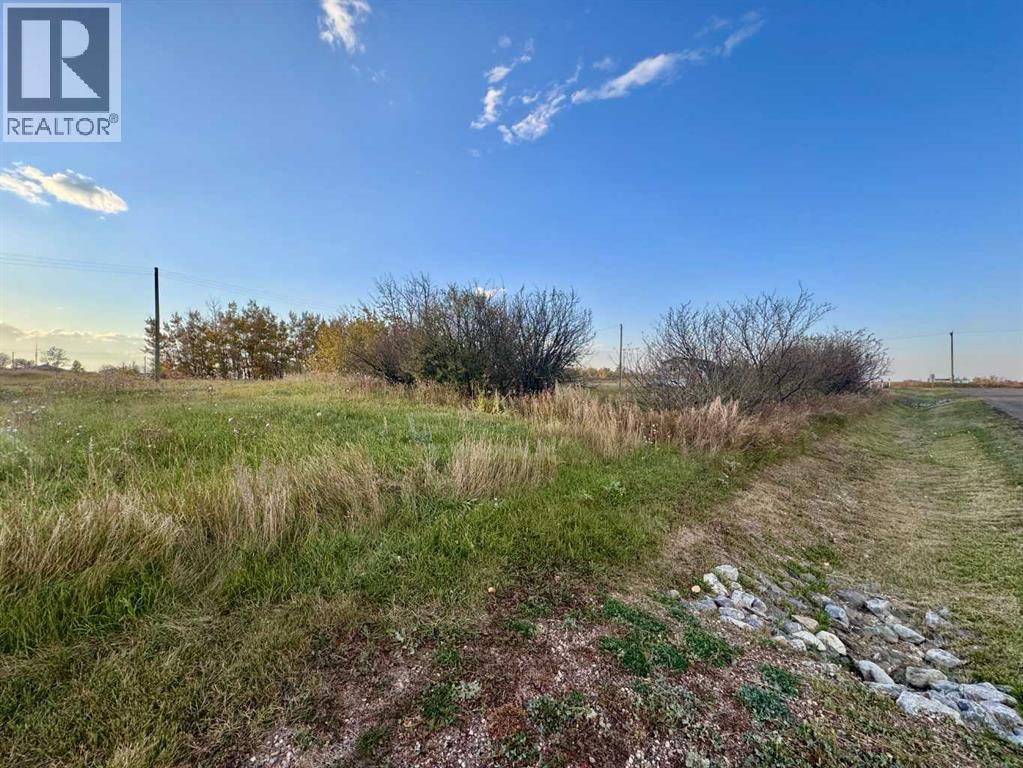 26 4th Street, Gadsby, Alberta  T0C 1K0 - Photo 2 - A2258624