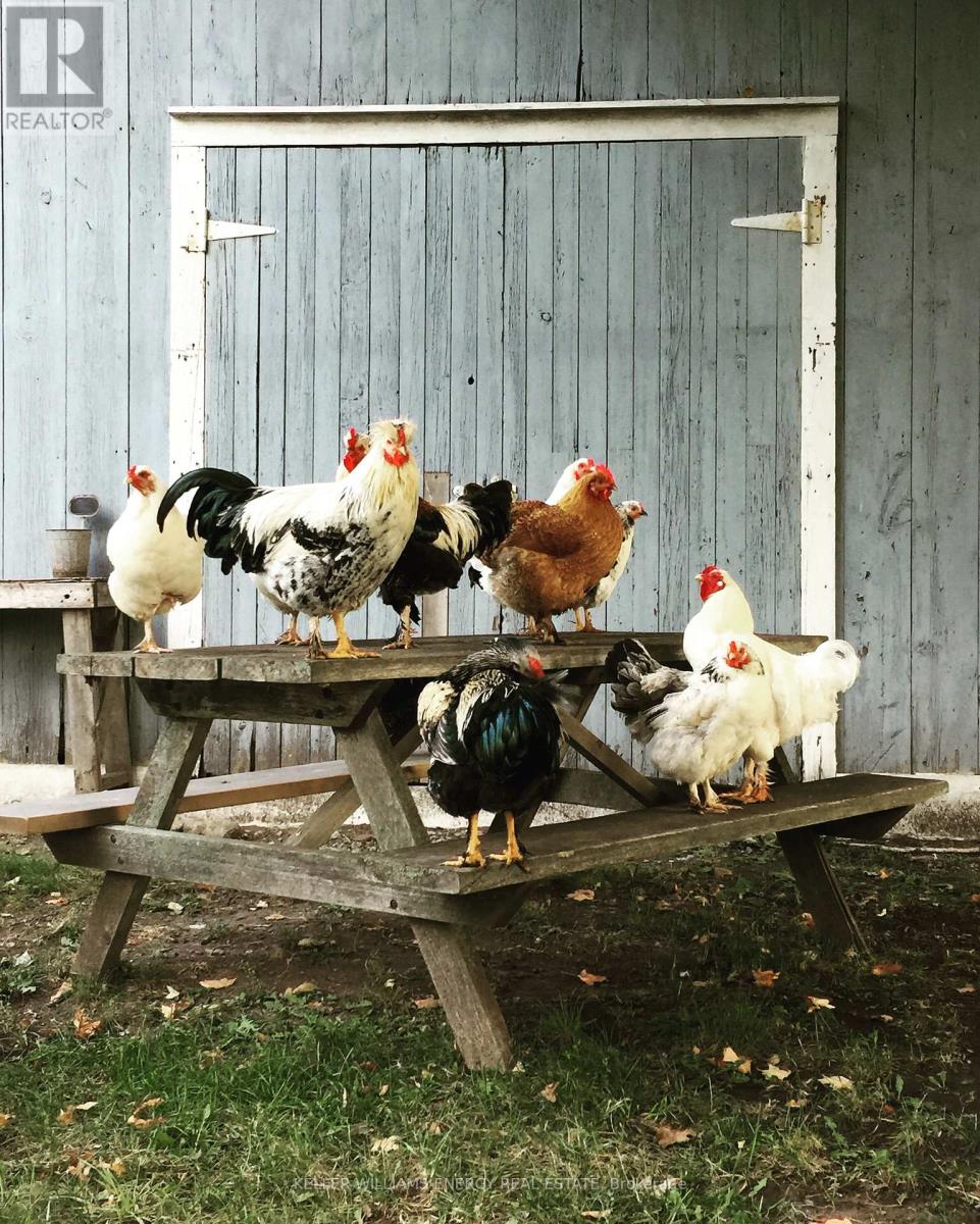 66 Gilead Road, R.r. #2 Road, Prince Edward County, Ontario  K0K 1G0 - Photo 20 - X12455911