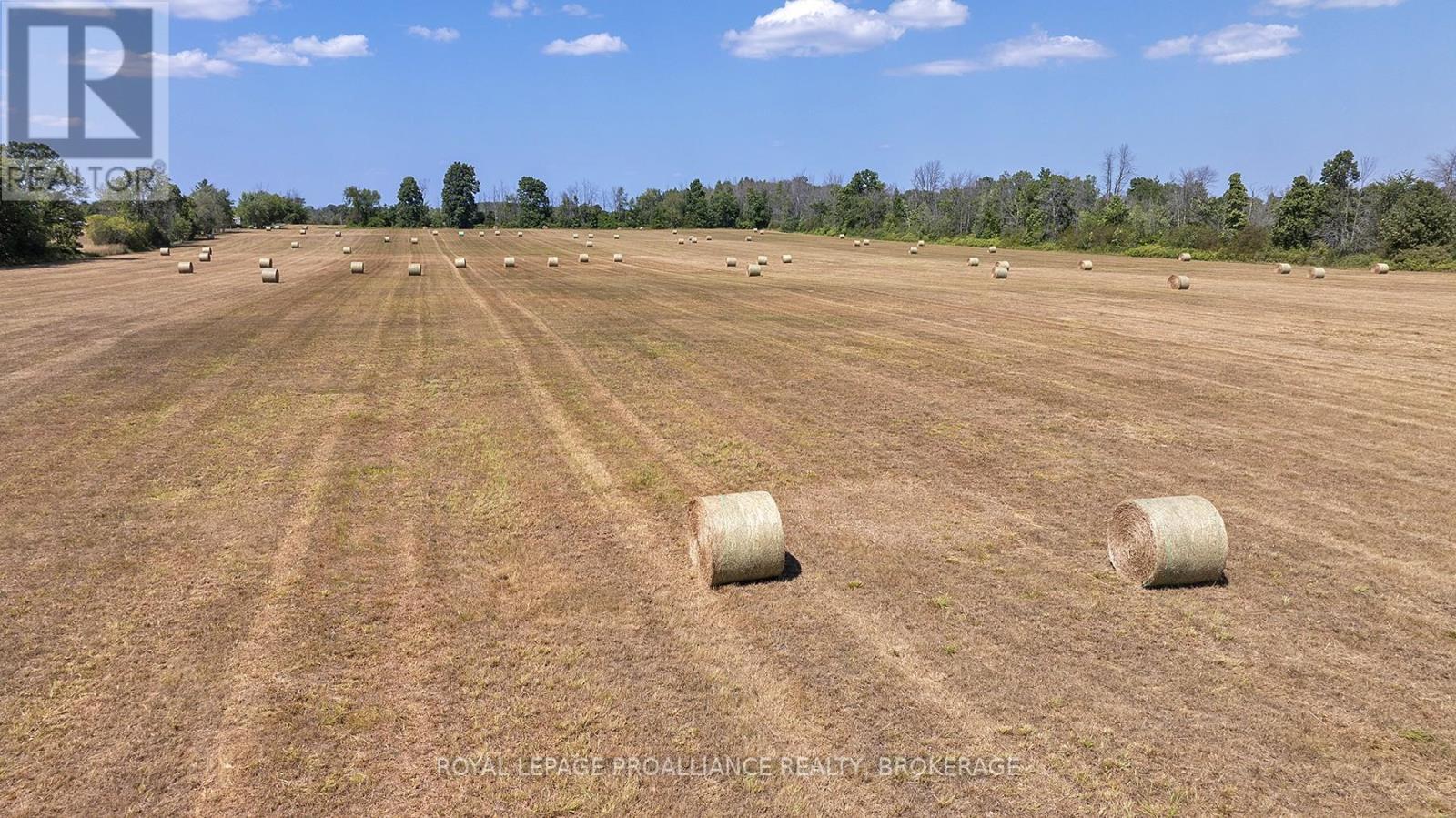 1136 Millhaven Road, Loyalist (Lennox And Addington - South), Ontario  K0H 2H0 - Photo 26 - X12455955