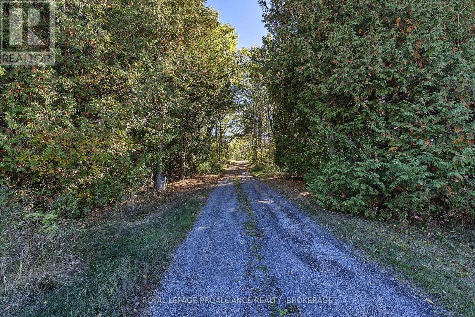 1136 Millhaven Road, Loyalist (Lennox And Addington - South), Ontario  K0H 2H0 - Photo 31 - X12455955