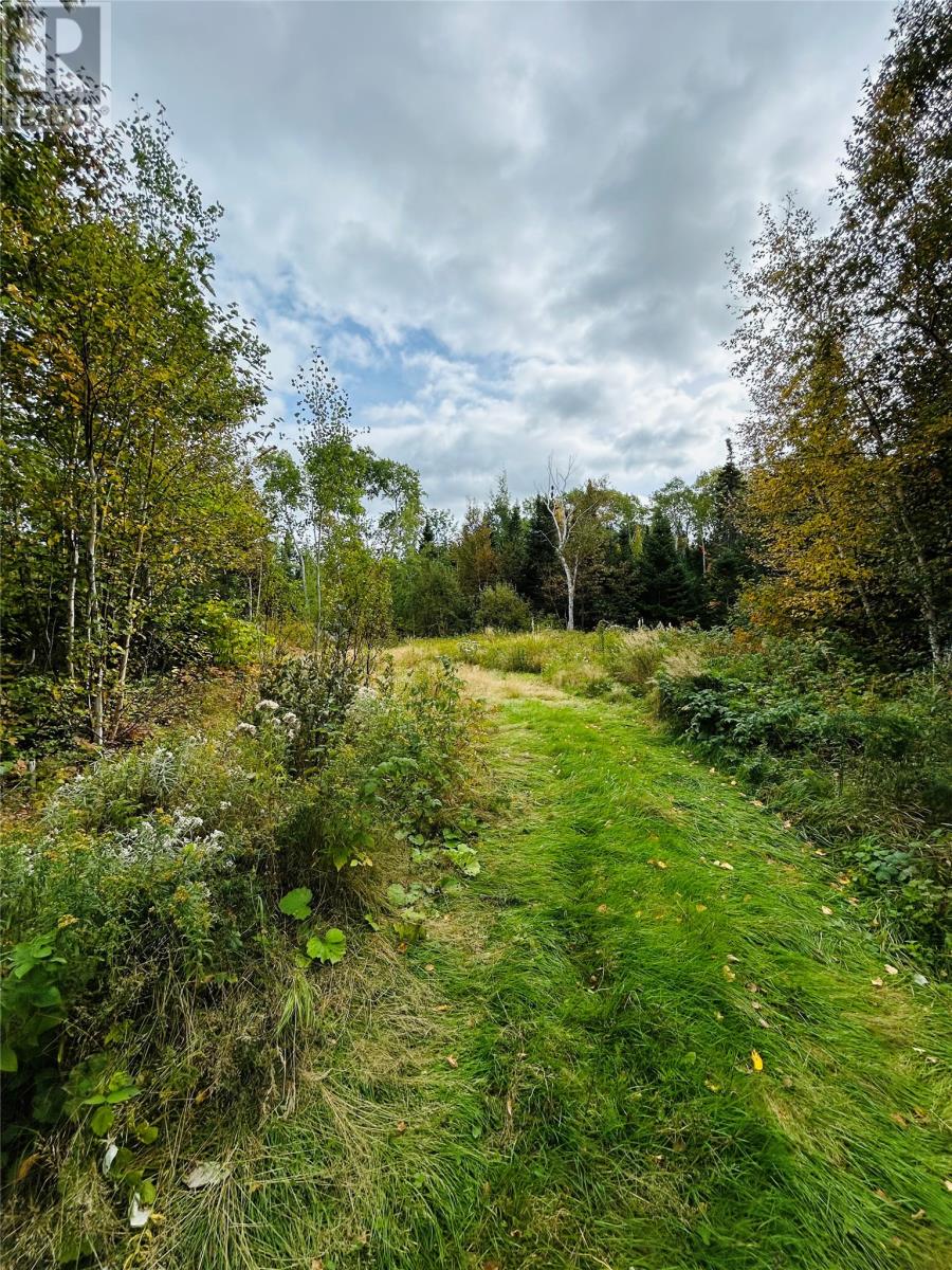 117 Askels Cove Road, Western Arm, Newfoundland & Labrador  A0H 1Z0 - Photo 4 - 1291381