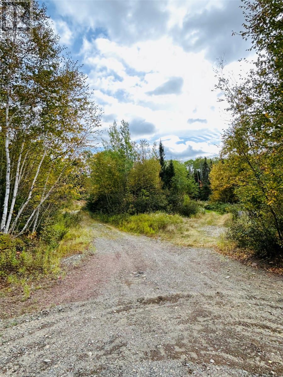117 Askels Cove Road, Western Arm, Newfoundland & Labrador  A0H 1Z0 - Photo 5 - 1291381