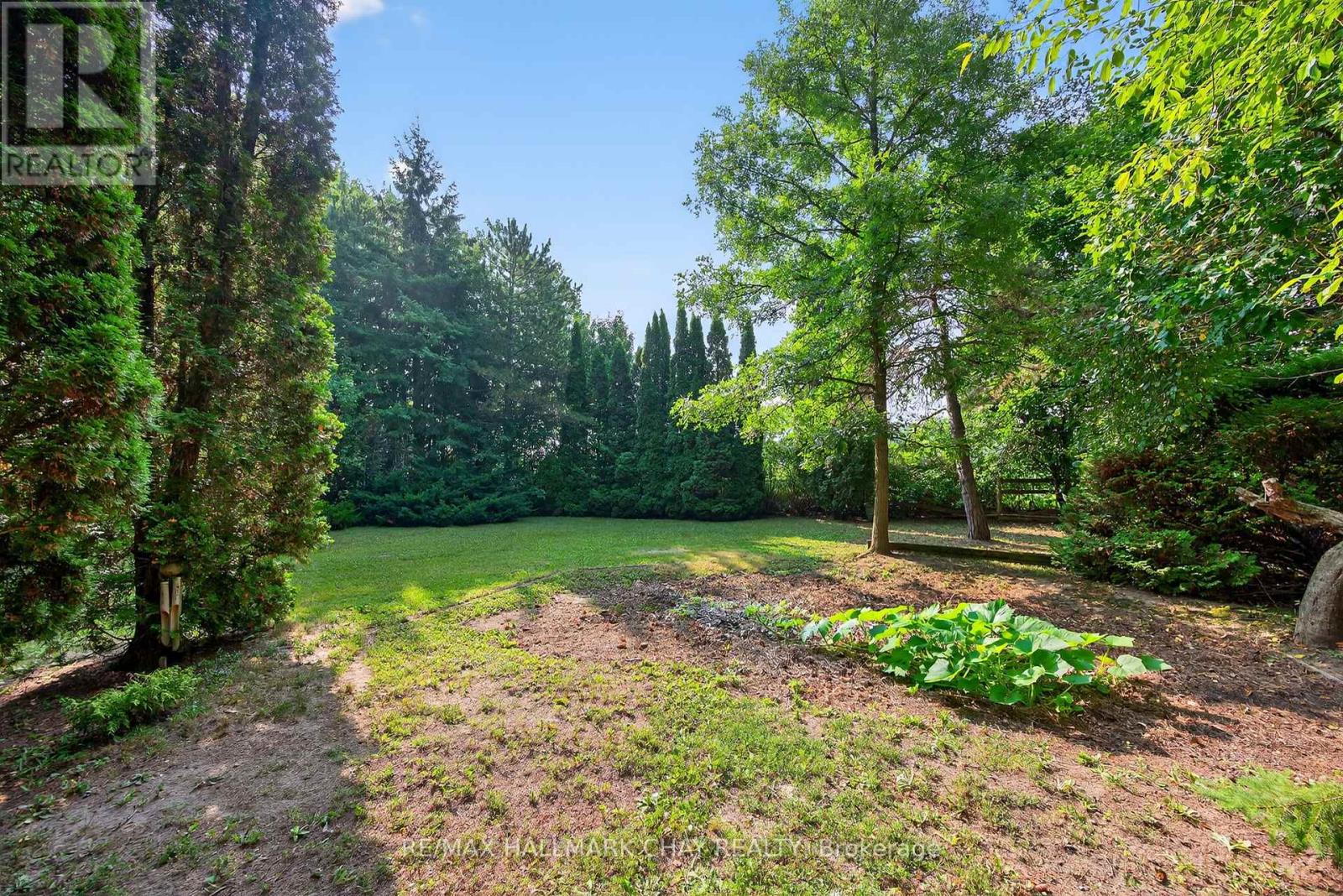 5205 5th Line, New Tecumseth, Ontario  L0G 1W0 - Photo 47 - N12455951