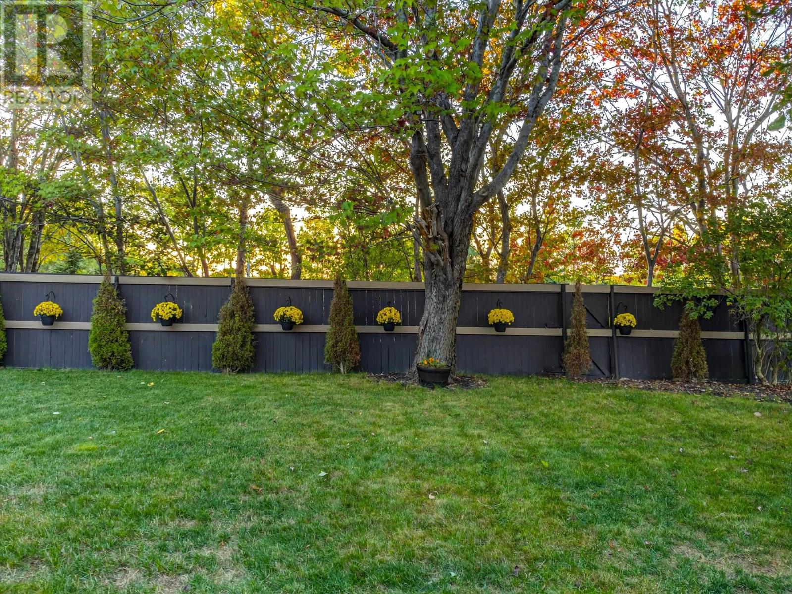47 Kingston Crescent, Dartmouth, Nova Scotia  B3A 2L9 - Photo 4 - 202525577