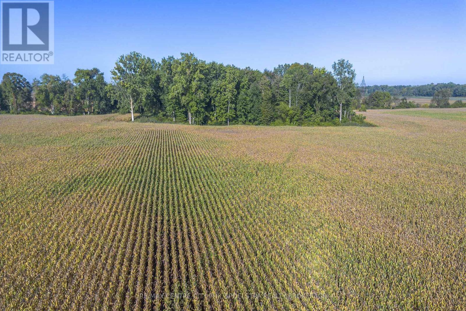 29182 Zone 4 Road, Chatham-Kent (Thamesville), Ontario  N0P 2K0 - Photo 11 - X12456177