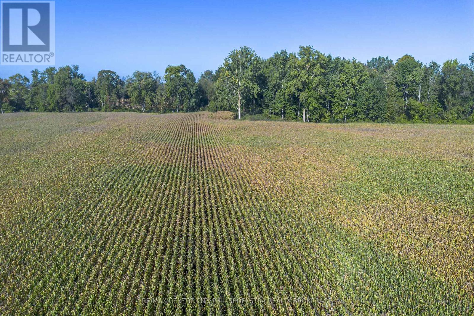29182 Zone 4 Road, Chatham-Kent (Thamesville), Ontario  N0P 2K0 - Photo 12 - X12456177