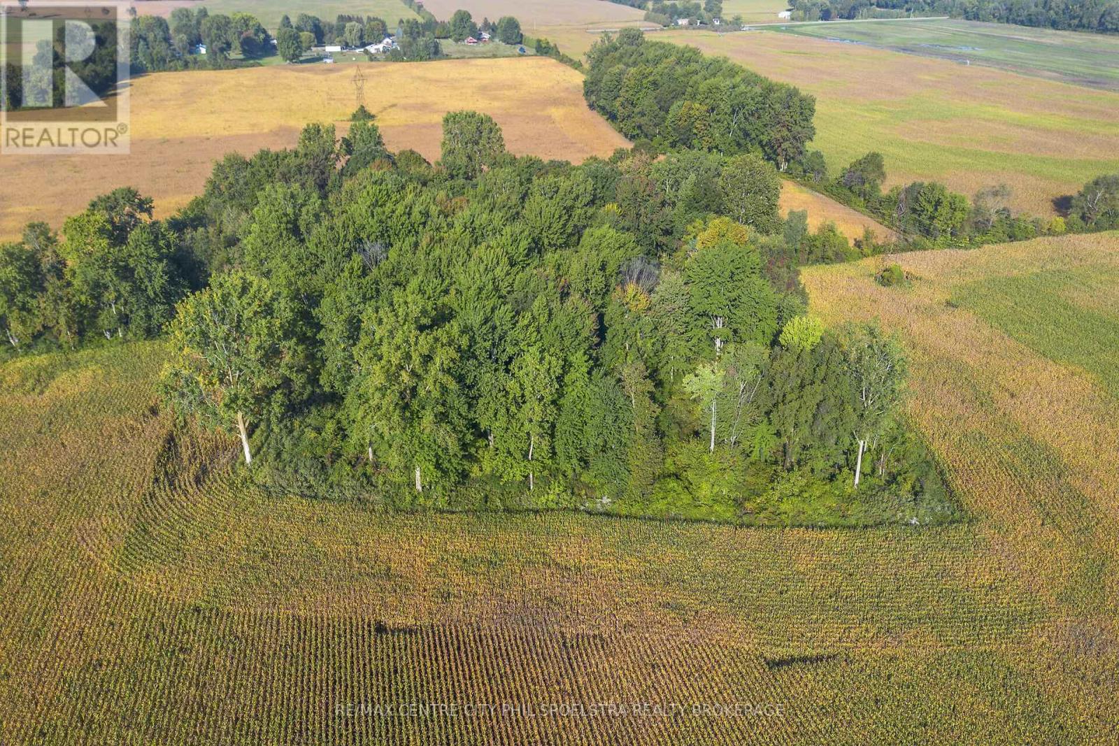 29182 Zone 4 Road, Chatham-Kent (Thamesville), Ontario  N0P 2K0 - Photo 13 - X12456177