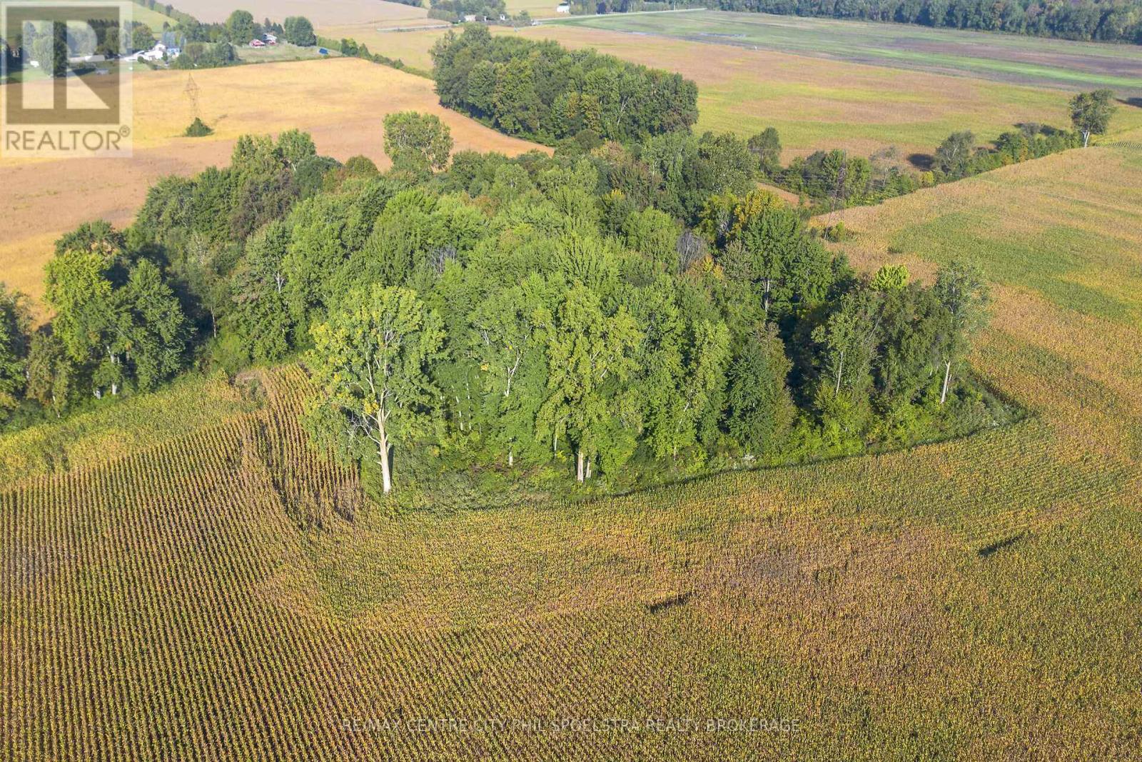 29182 Zone 4 Road, Chatham-Kent (Thamesville), Ontario  N0P 2K0 - Photo 14 - X12456177