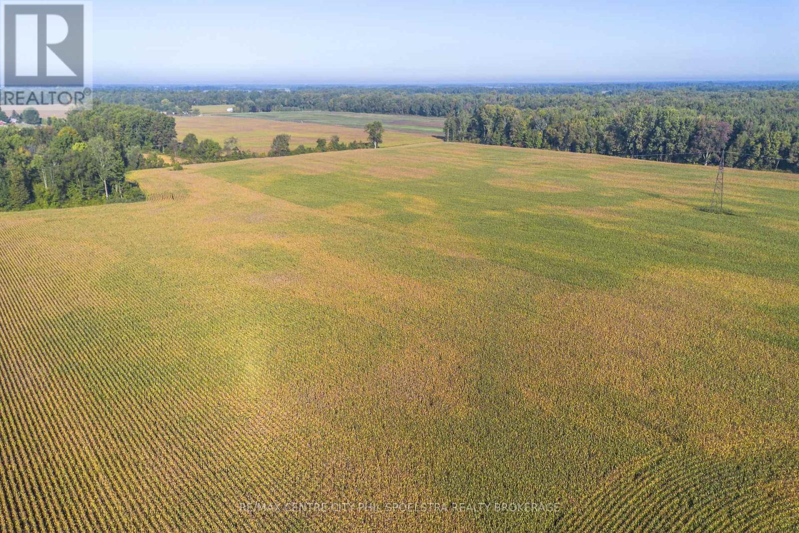 29182 Zone 4 Road, Chatham-Kent (Thamesville), Ontario  N0P 2K0 - Photo 16 - X12456177