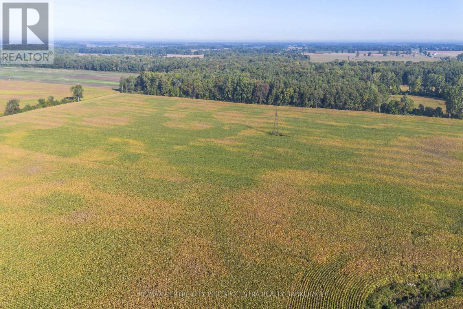 29182 Zone 4 Road, Chatham-Kent (Thamesville), Ontario  N0P 2K0 - Photo 17 - X12456177