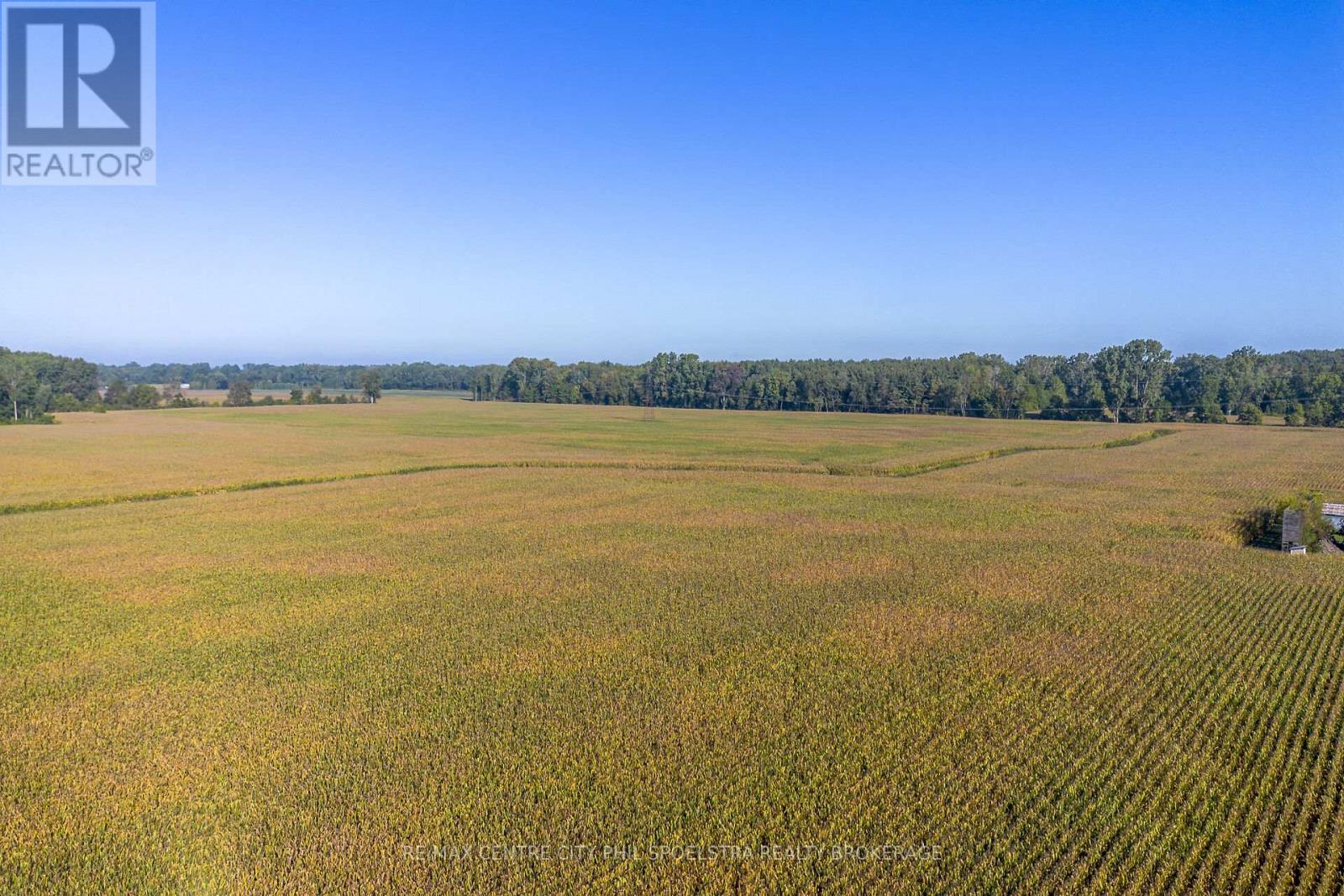 29182 Zone 4 Road, Chatham-Kent (Thamesville), Ontario  N0P 2K0 - Photo 21 - X12456177