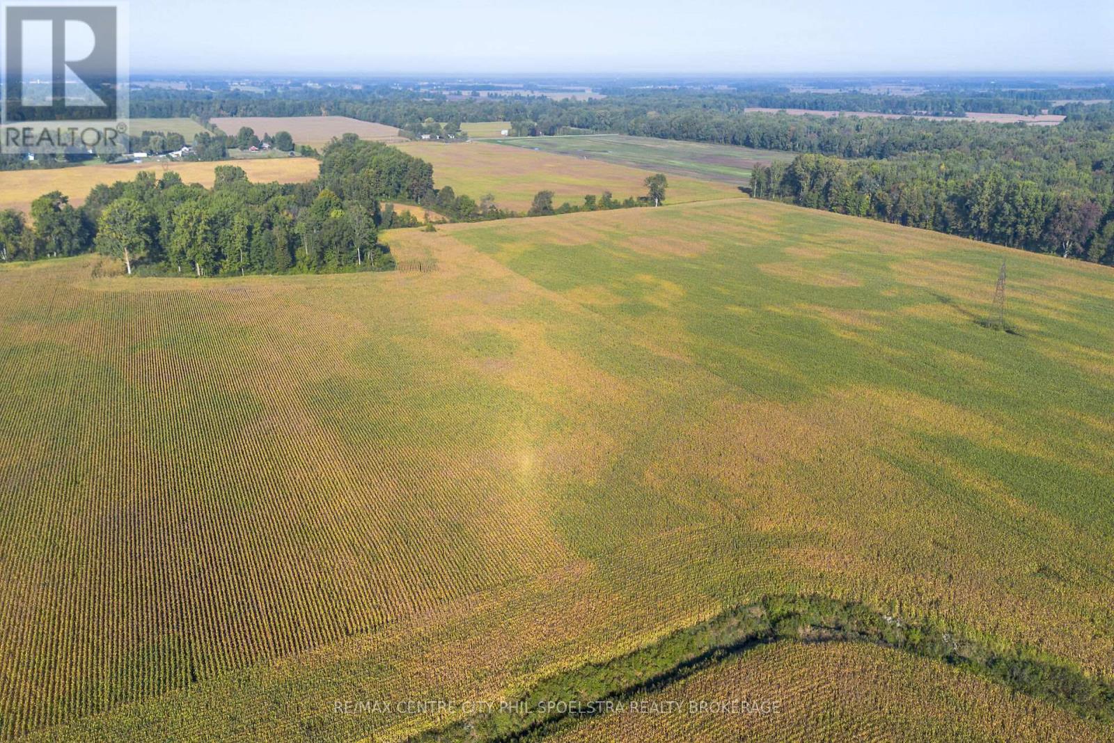 29182 Zone 4 Road, Chatham-Kent (Thamesville), Ontario  N0P 2K0 - Photo 9 - X12456177