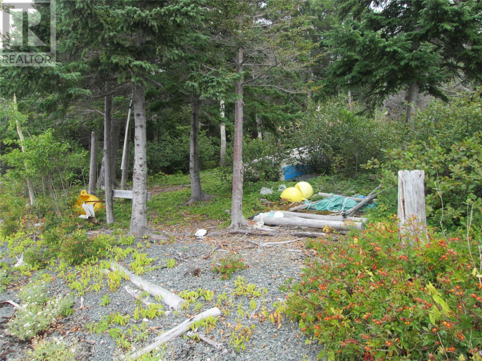102208 Indian Cove Road, Ritters Arm, Newfoundland & Labrador  A0H 1L0 - Photo 14 - 1291421