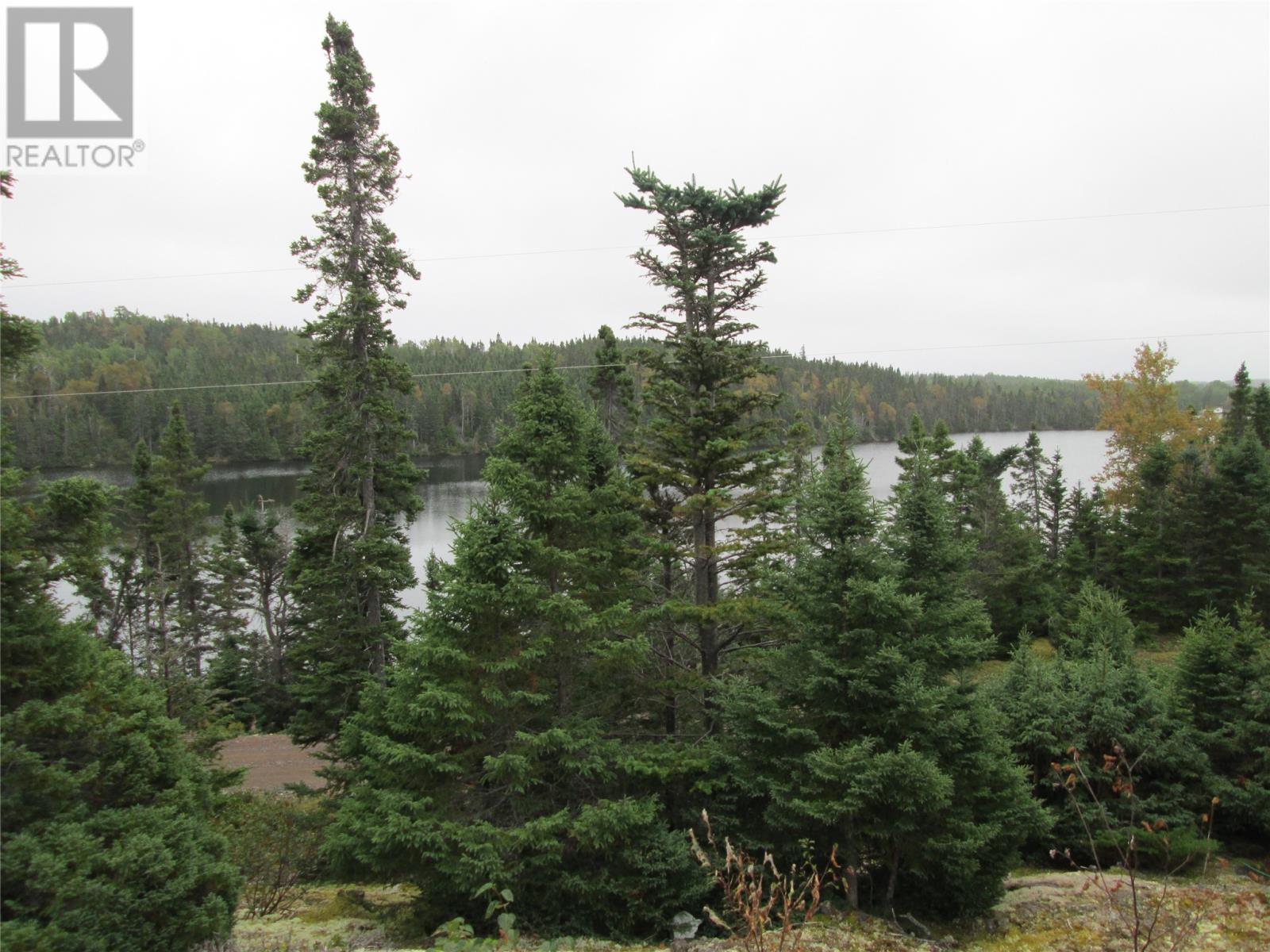 102208 Indian Cove Road, Ritters Arm, Newfoundland & Labrador  A0H 1L0 - Photo 7 - 1291421