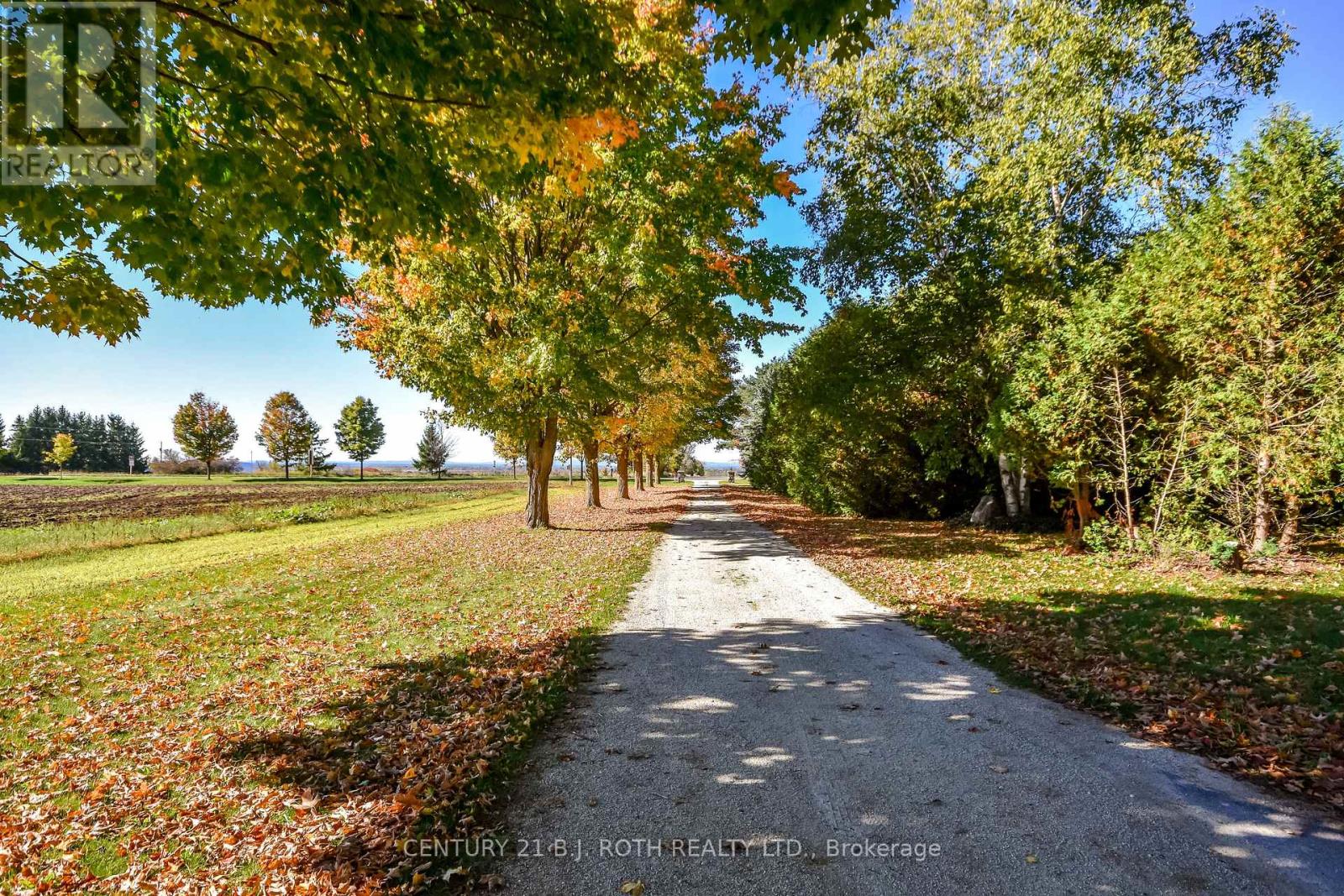 191 George Street, Midland, Ontario  L4R 2W3 - Photo 4 - S12456126