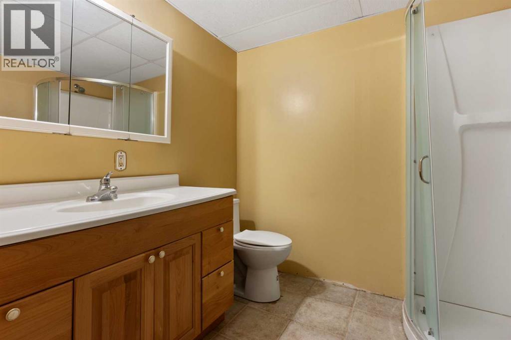 4932 50 Street, Lougheed, Alberta  T0B 2V0 - Photo 33 - A2255672