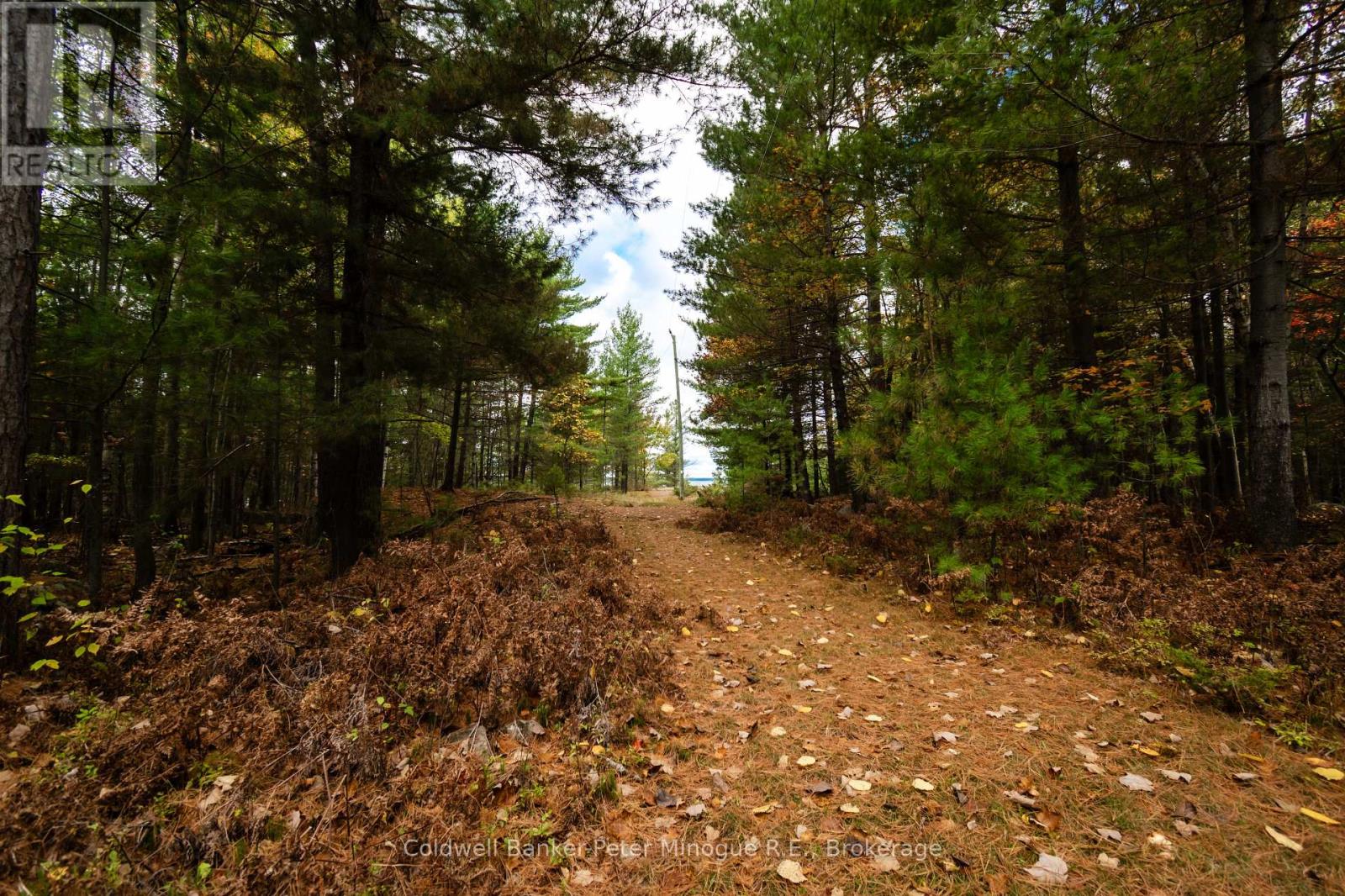 567 Sunset Cove Road, Callander, Ontario  P0H 1H0 - Photo 32 - X12456374