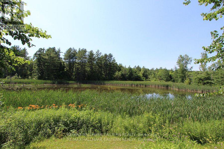 240 Cole Road, Havelock-Belmont-Methuen, Ontario  K0L 1Z0 - Photo 28 - X12456379