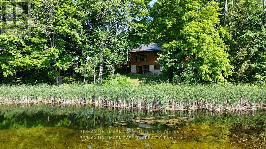 240 Cole Road, Havelock-Belmont-Methuen, Ontario  K0L 1Z0 - Photo 31 - X12456379