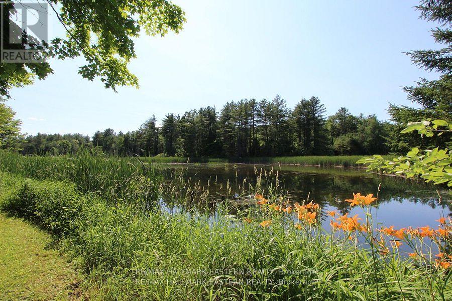 240 Cole Road, Havelock-Belmont-Methuen, Ontario  K0L 1Z0 - Photo 35 - X12456379