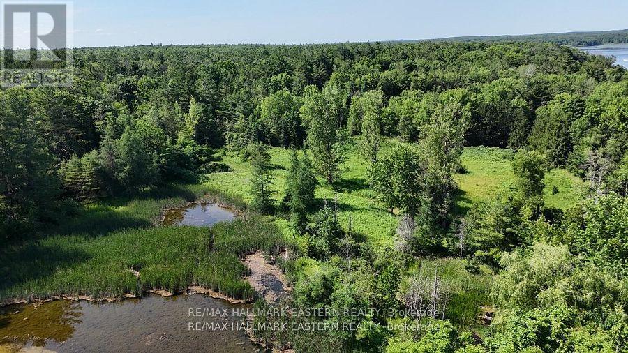 240 Cole Road, Havelock-Belmont-Methuen, Ontario  K0L 1Z0 - Photo 37 - X12456379