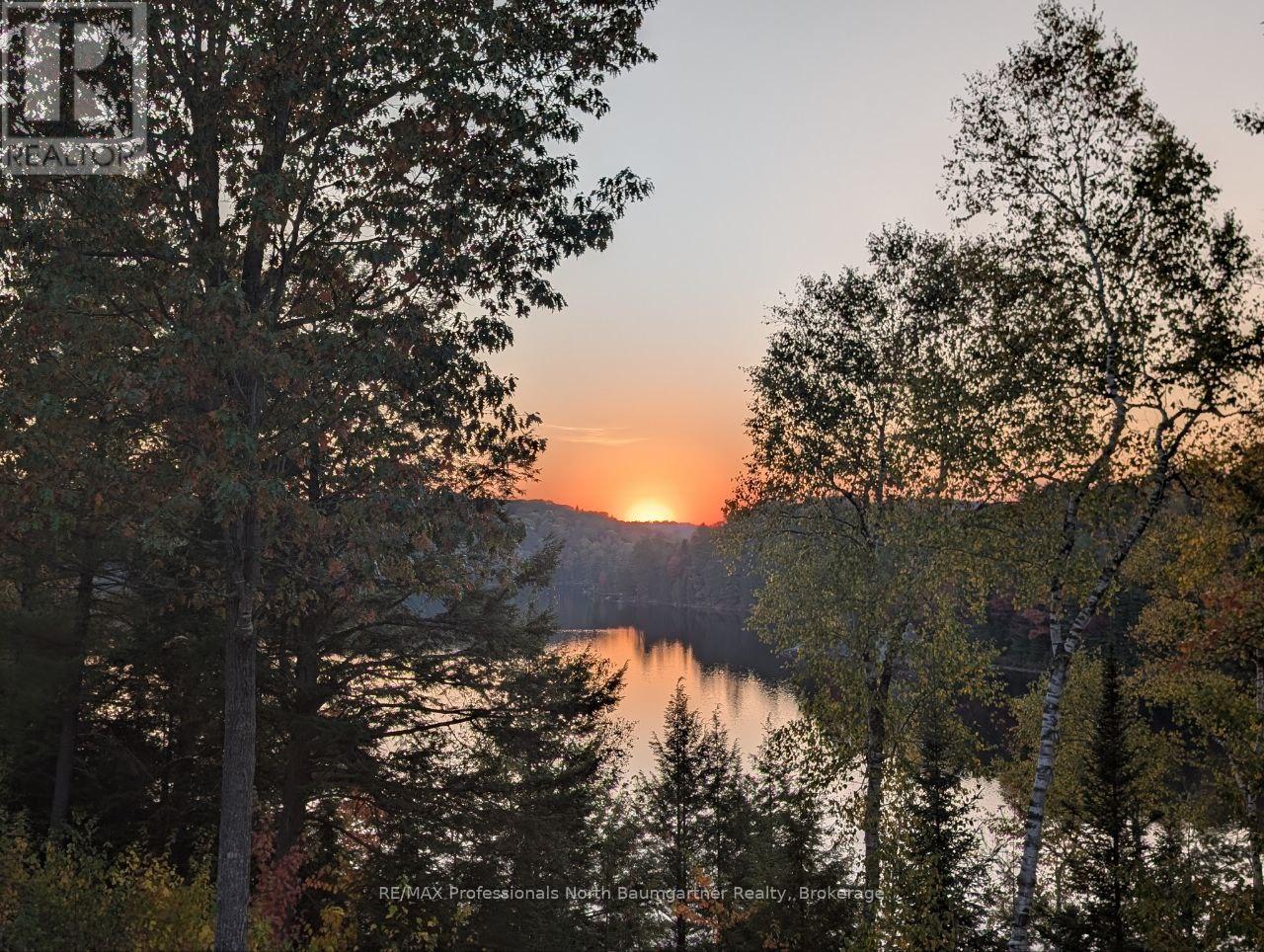 1132 Trapline Trail, Dysart Et Al, Ontario  K0M 1S0 - Photo 48 - X12236651