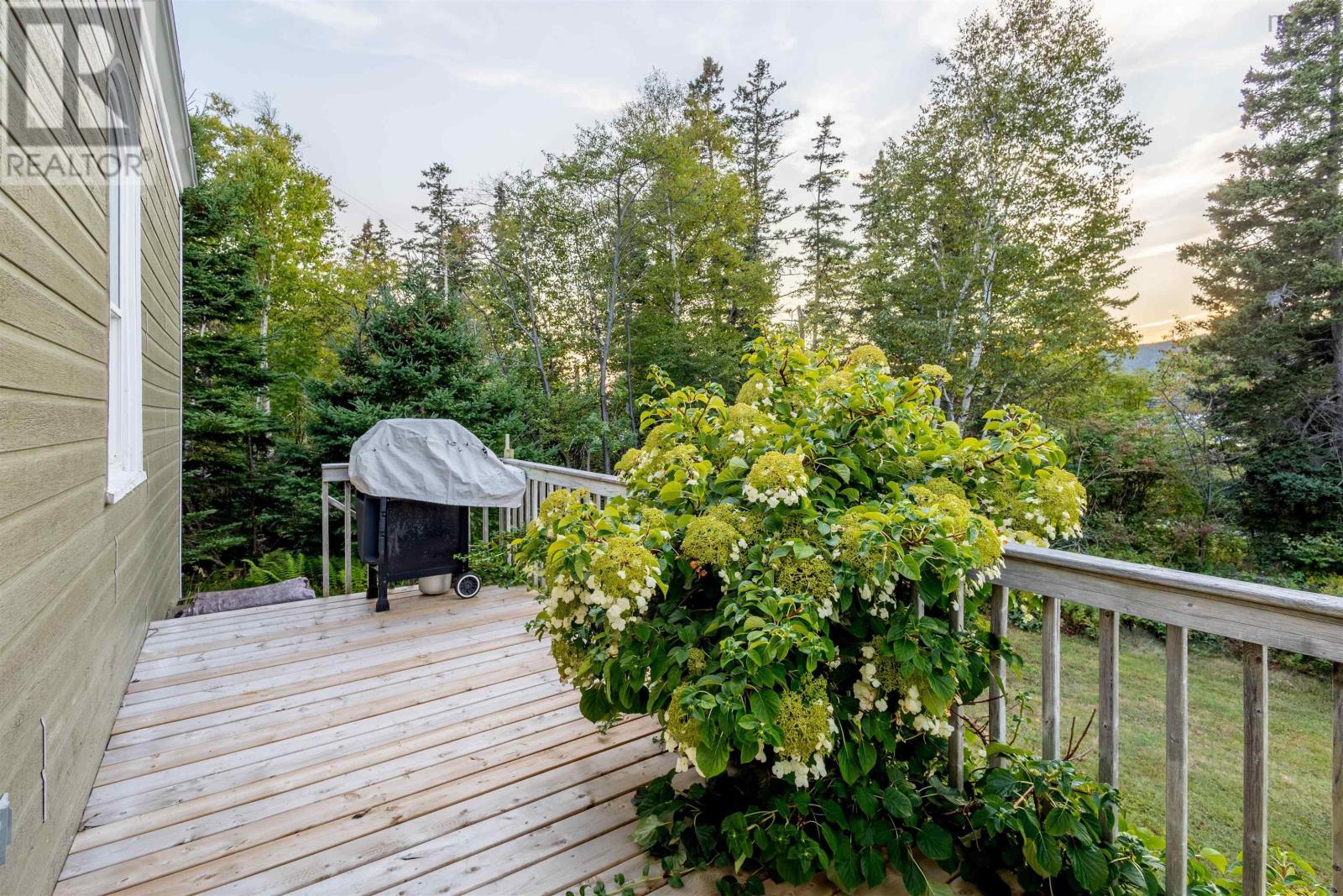 18 Kellys Lane, Englishtown, Nova Scotia  B0C 1H0 - Photo 32 - 202523878