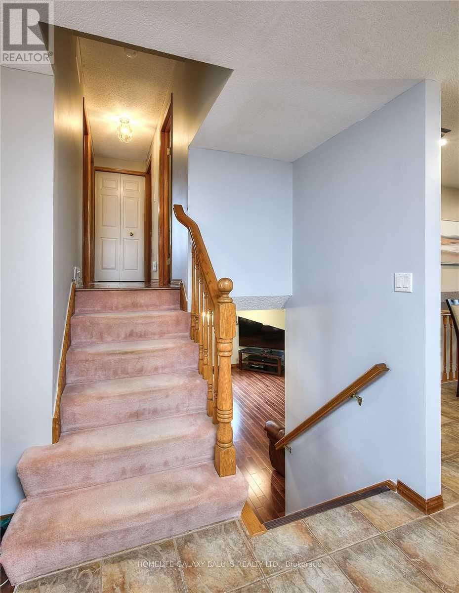 3 Cora Drive, Kitchener, Ontario  N2N 3C6 - Photo 11 - X12456343