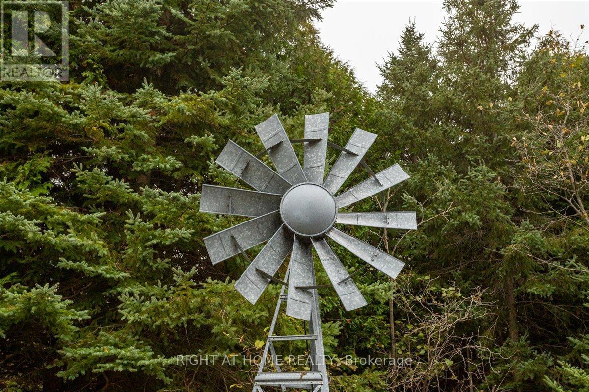 635138 Highway 10, Mono, Ontario  L9W 5P6 - Photo 8 - X12456353