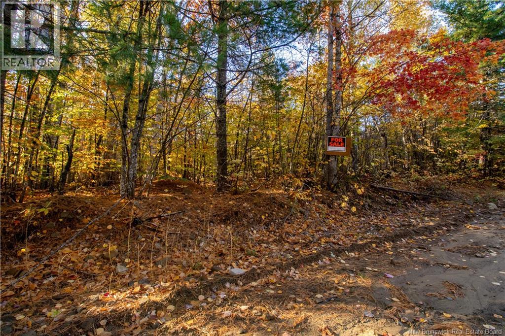 Lot Spring Road, Elgin, New Brunswick  E4Z 1V3 - Photo 1 - NB128281
