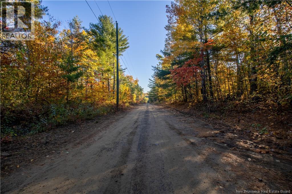Lot Spring Road, Elgin, New Brunswick  E4Z 1V3 - Photo 2 - NB128281