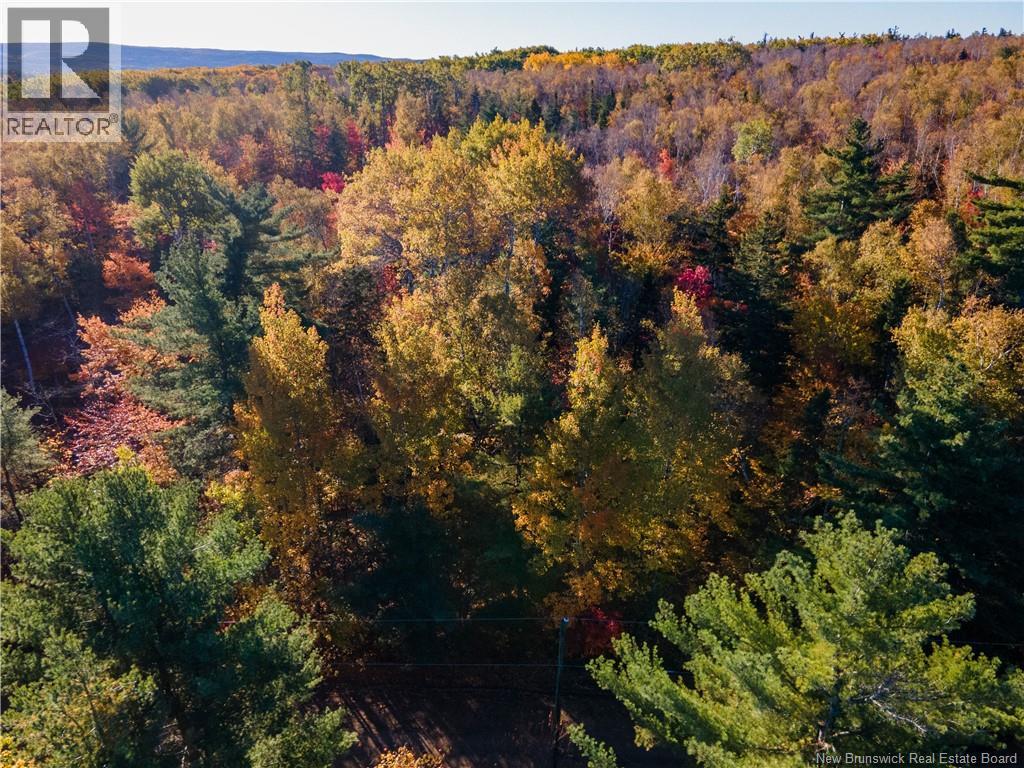 Lot Spring Road, Elgin, New Brunswick  E4Z 1V3 - Photo 4 - NB128281