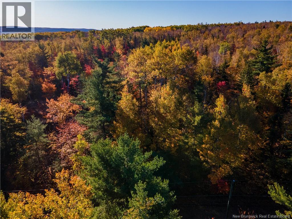 Lot Spring Road, Elgin, New Brunswick  E4Z 1V3 - Photo 5 - NB128281