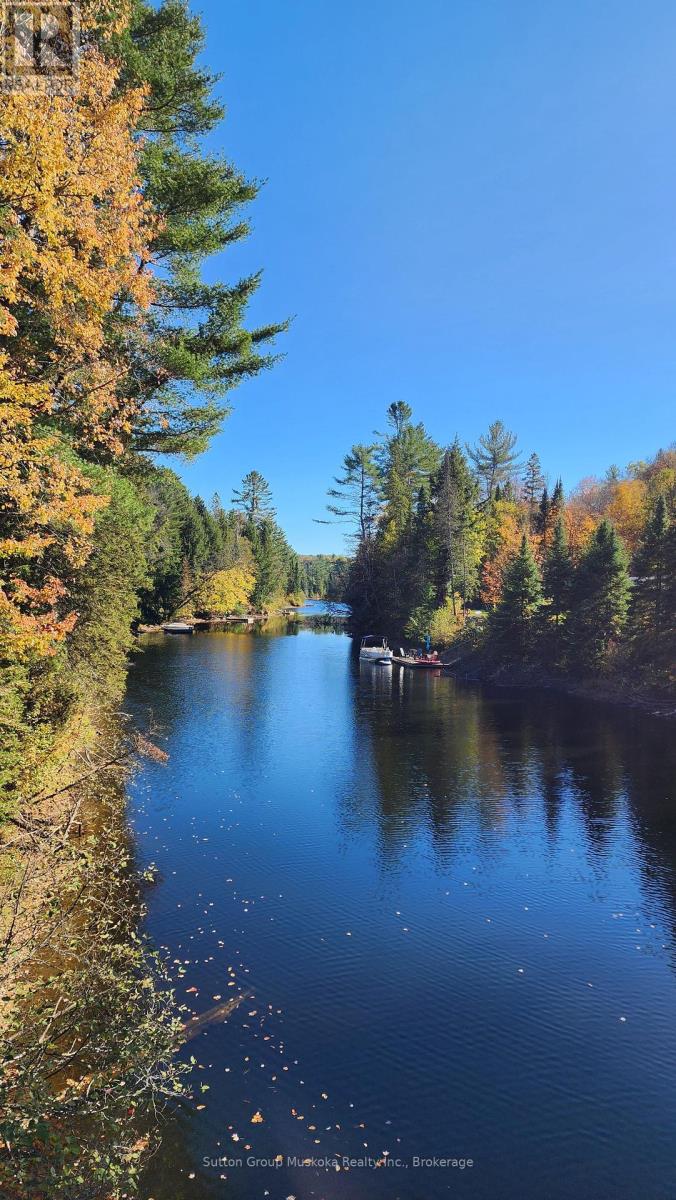 00 Red Pine Trail, Bracebridge (Macaulay), Ontario  P0B 1L0 - Photo 1 - X12456558