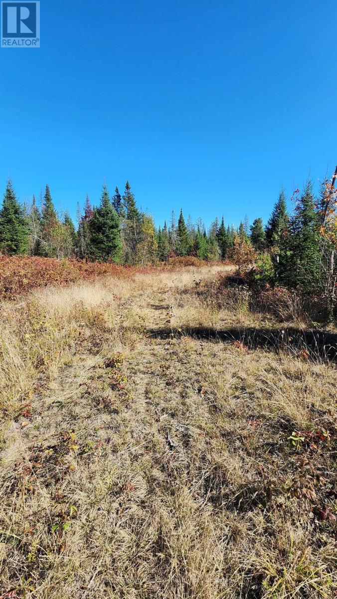 00 Red Pine Trail, Bracebridge (Macaulay), Ontario  P0B 1L0 - Photo 7 - X12456558