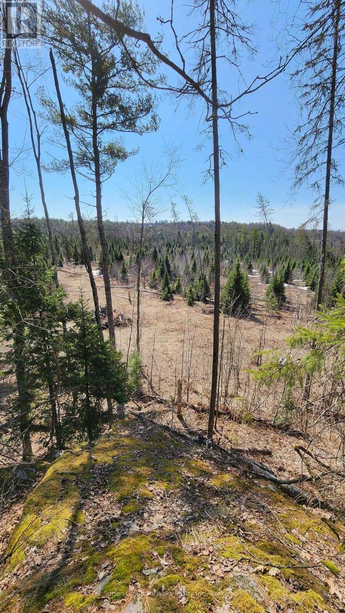 00 Red Pine Trail, Bracebridge (Macaulay), Ontario  P0B 1L0 - Photo 9 - X12456558