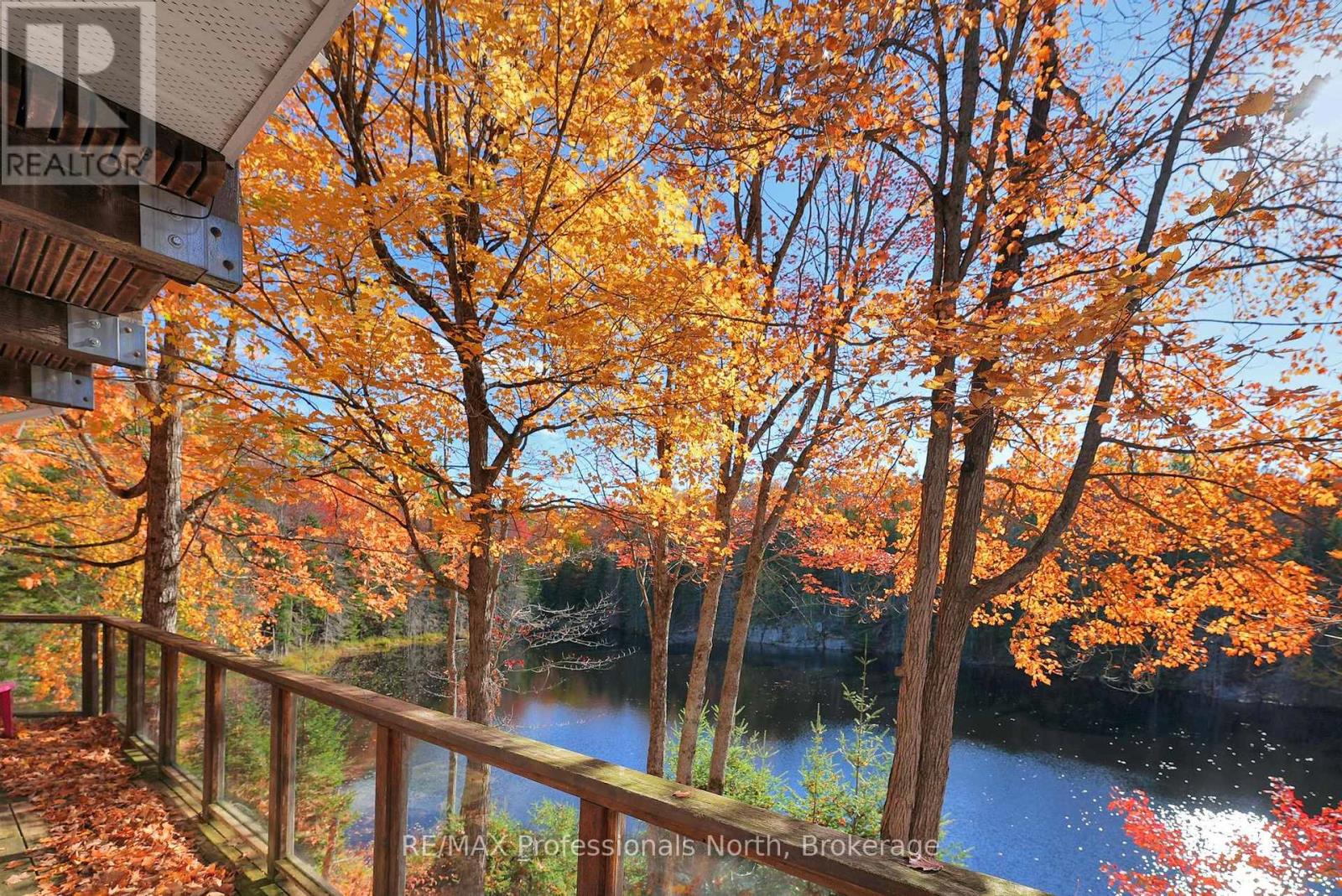 1966 Bacon Road, Minden Hills (Snowdon), Ontario  K0M 2A1 - Photo 10 - X12456562
