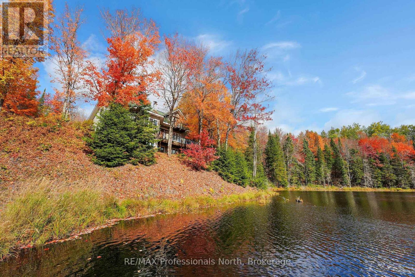 1966 Bacon Road, Minden Hills (Snowdon), Ontario  K0M 2A1 - Photo 2 - X12456562